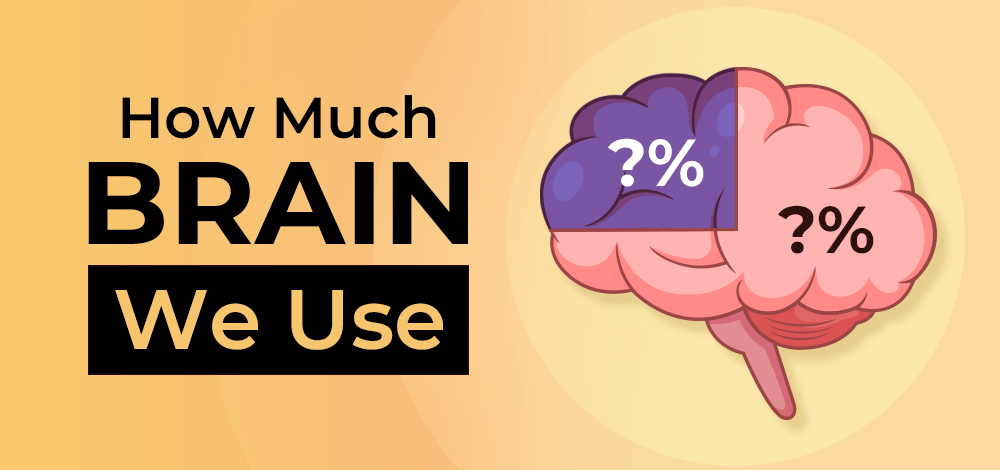 How much brain we use