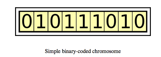 How do Genetic Algorithms work