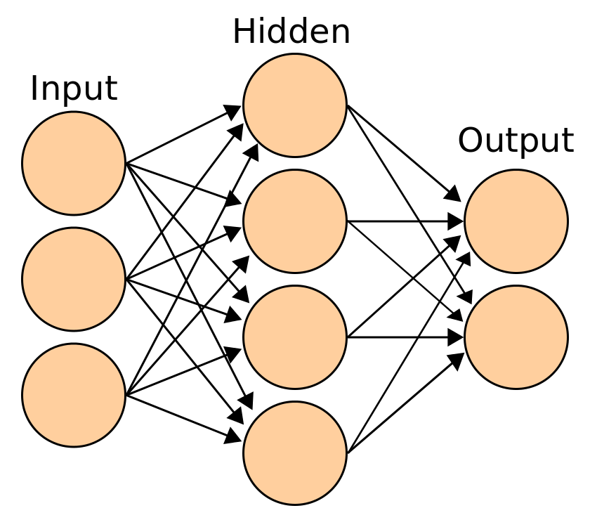 Structure of Artificial Neural Network vs Biological Neural Network