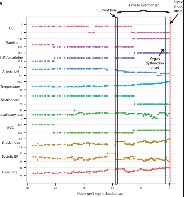 interpretability model 