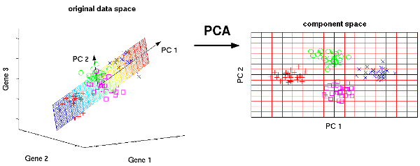 Principal Component Analysis (PCA)