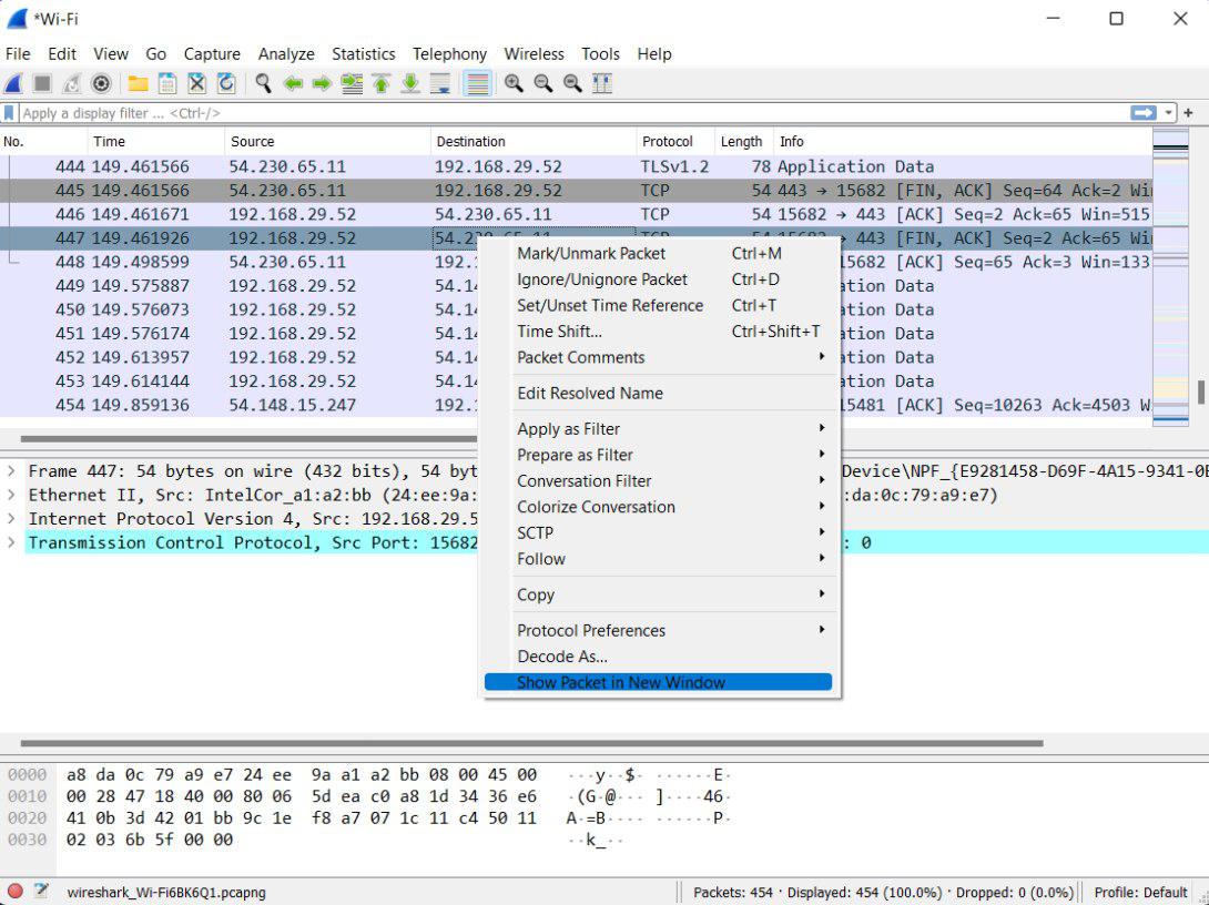 Viewing a packet in separate window