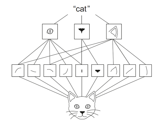 Deep learning for Computer vision 2