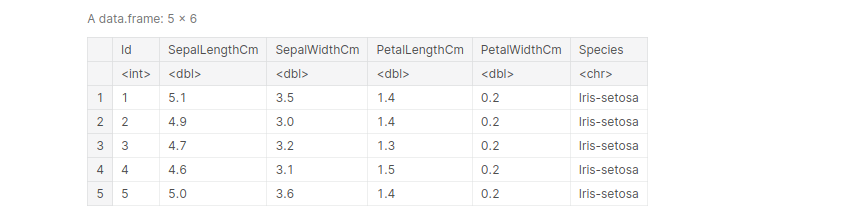 output | programming in R