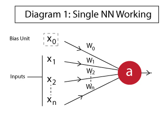 how single neuron works