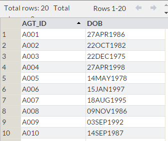 13_Proc_Format_SAS