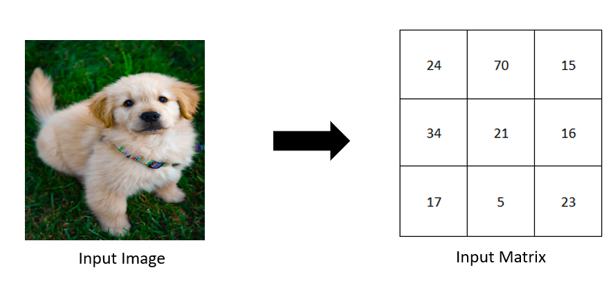 CNN's interpretation of Image matrices