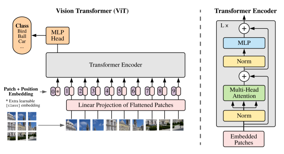 Vison Transformers Model architecture