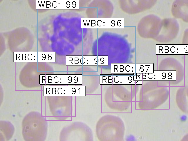 Implementing fater rcnn