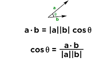 Vector, Vector Space, Basis, and Orthogonal Basis