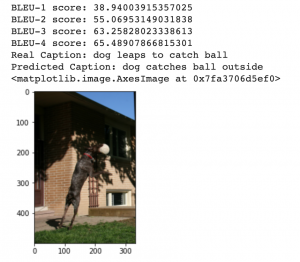 Transformers tensorflow image caption output