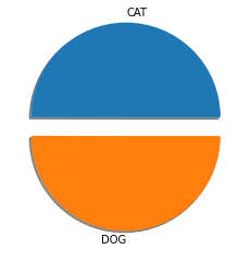 target class distribution | Image Classification Using CNN