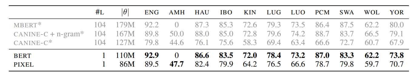 Evaluation outcomes for PIXEL