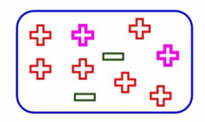 exxample decision tree best split