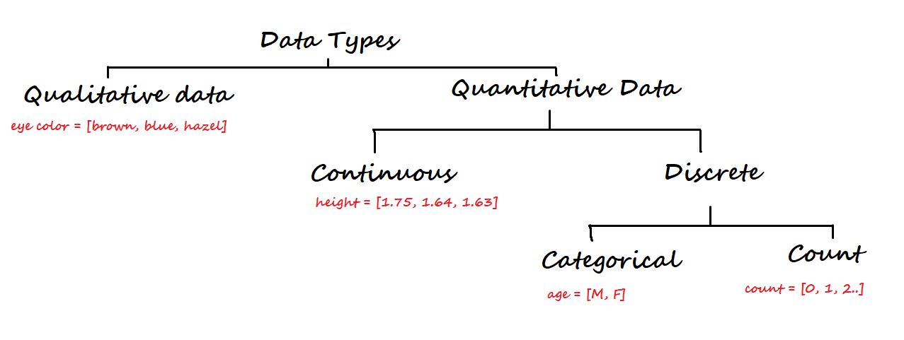 Data Types | statistics