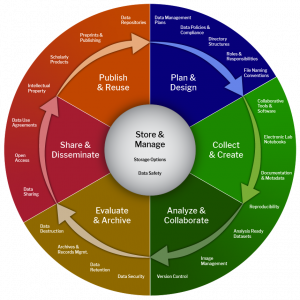 Data Management Lifecycle