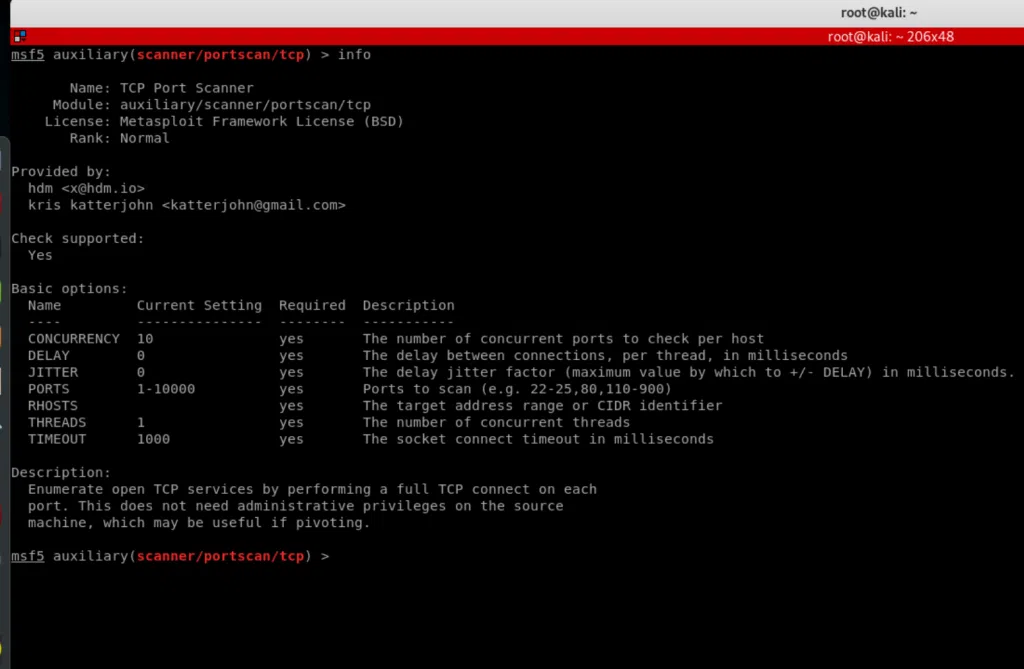 all parameters of the TCP port scanner