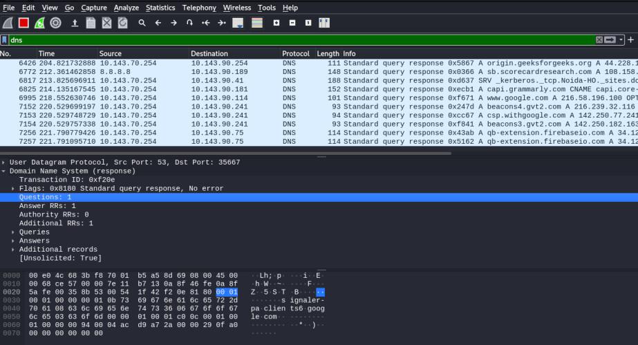 DNS Query dialog box