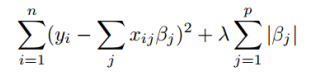 Lasso linear predictive models