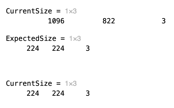 resize images |  image classification project