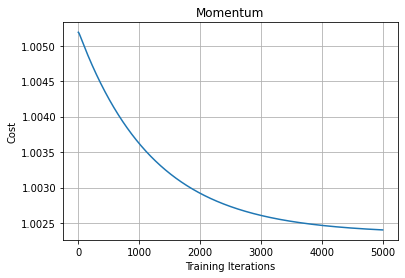 momentum based SGD