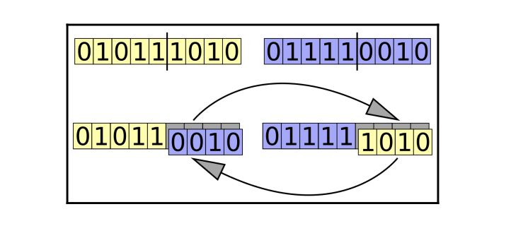 Genetic Algorithms crossover