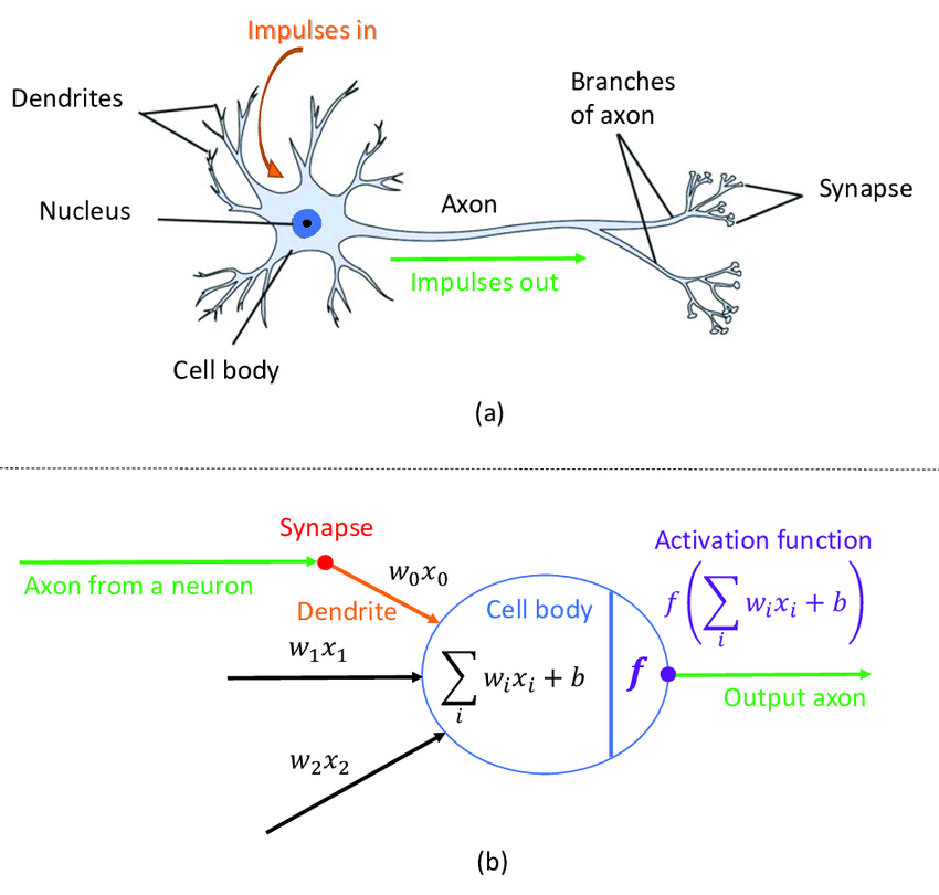 neural network gradient descent image