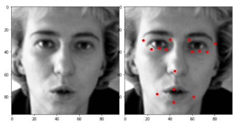 preprocessed data | face key-point recognition