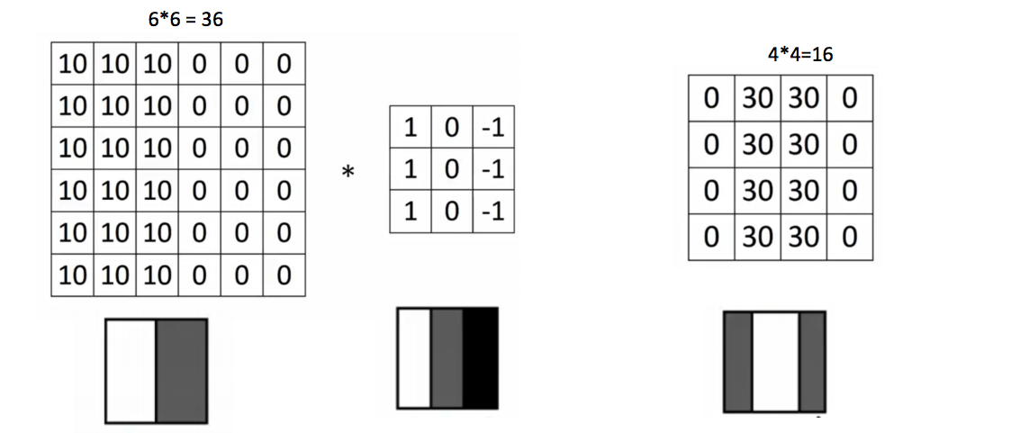 Vertical filter CNN image classification