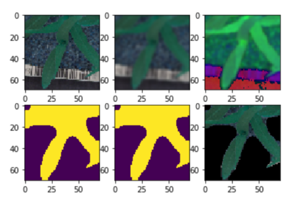 plant seedlings Classification Using CNN | RGB to HSV