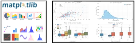 Matplotlib & Seaborn Libraries