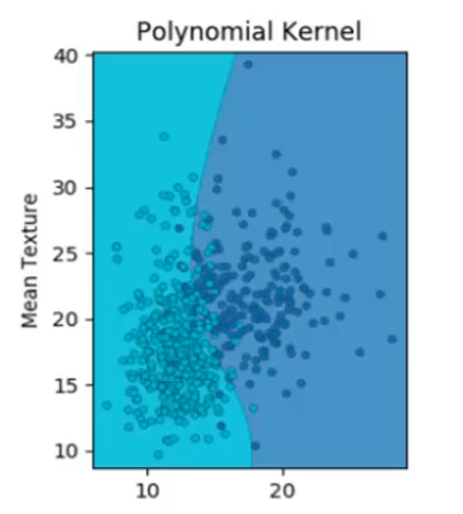 Polynomial kernel