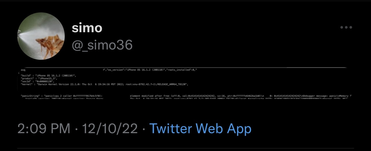 @_simo26 teases a kernel vulnerability on iOS 16.1.2 for an iPhone 14.