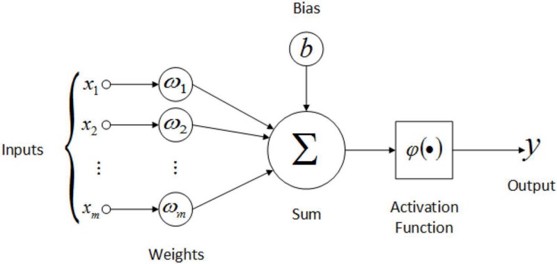 Feed-Foward Network