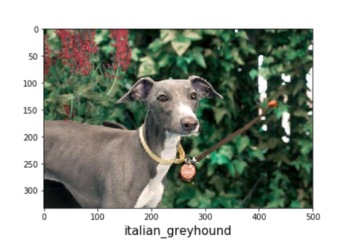 output | stacked pretrained models