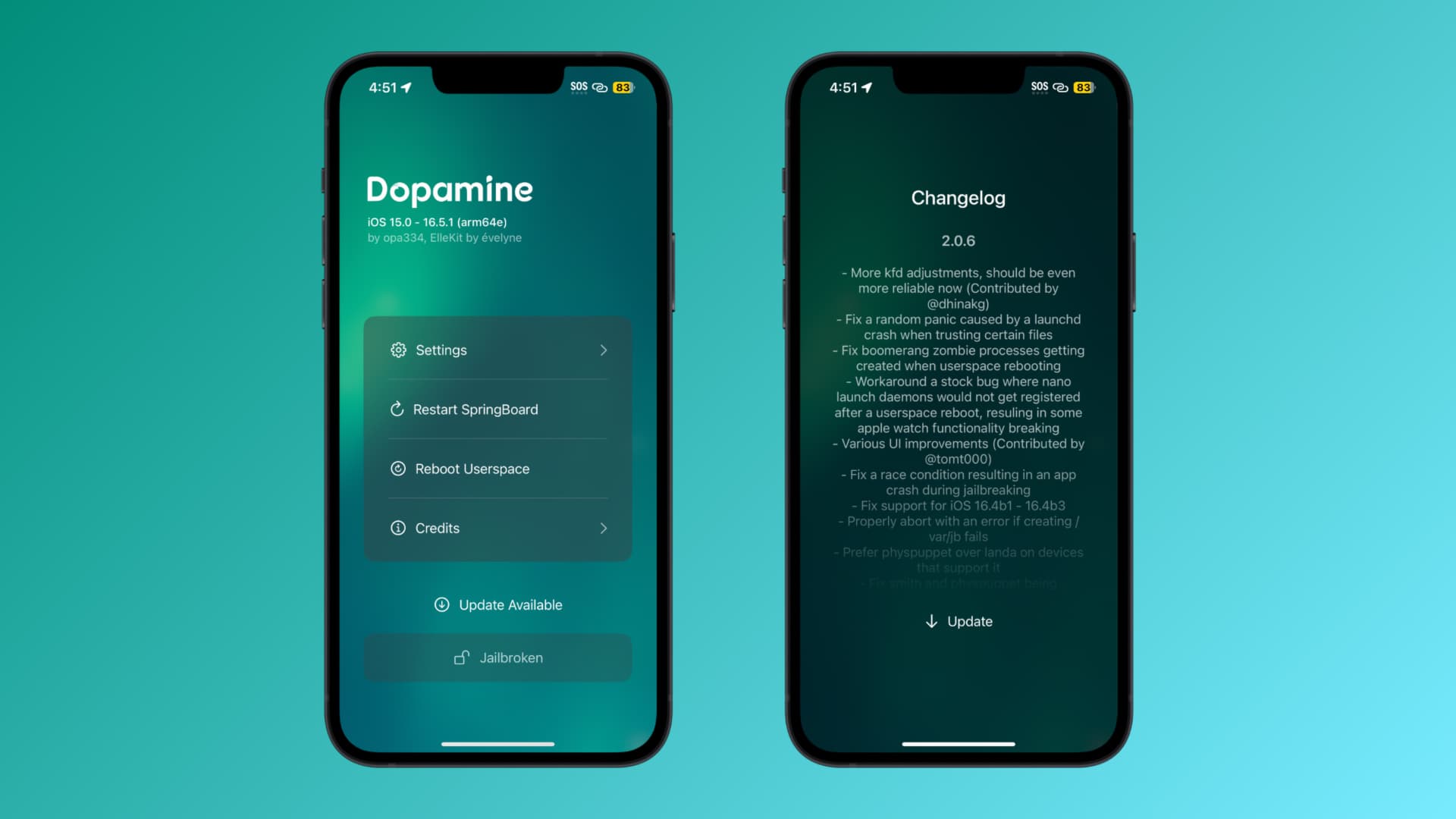 Dopamine v2.0.6 update OTA prompt.