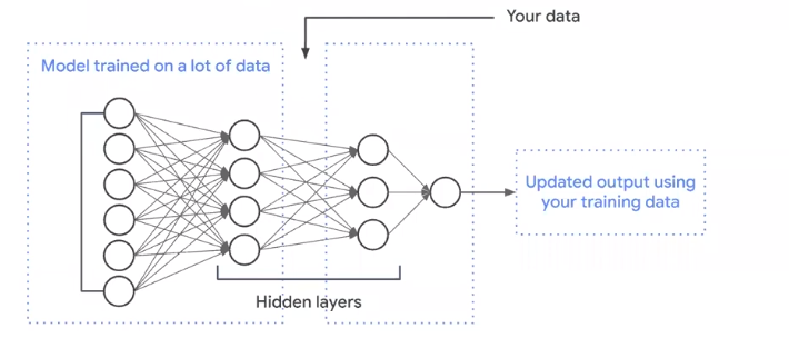 Transfer Learning | machine learning