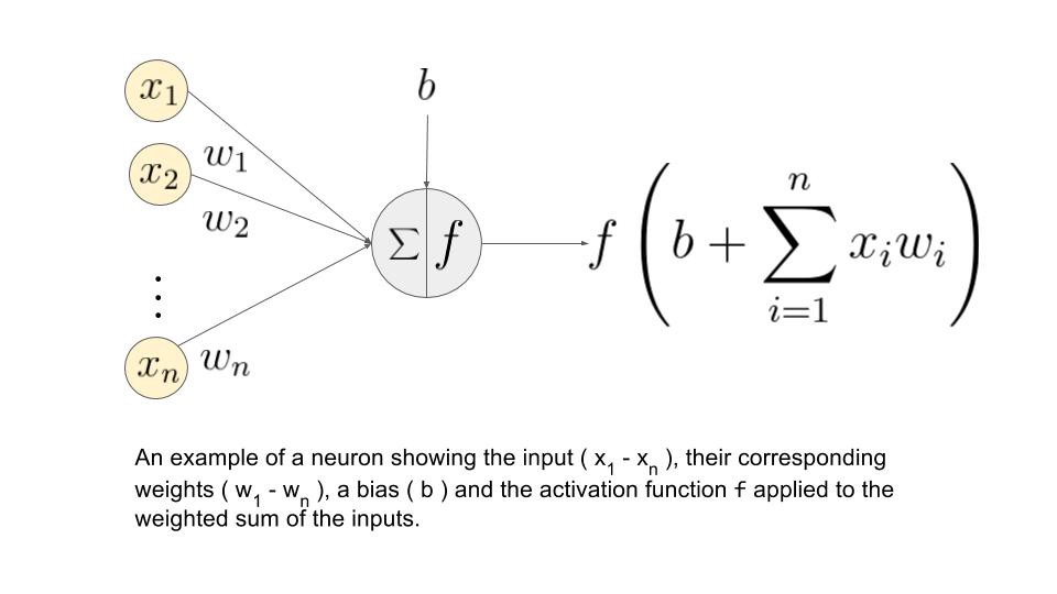 medium artificial neural networks using Pytorch