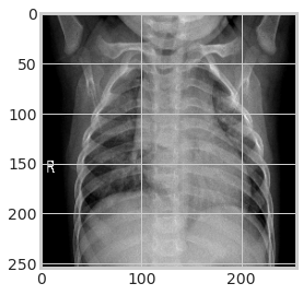 Converting all data to Tensors