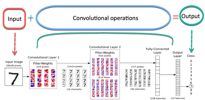 convolutional neural network