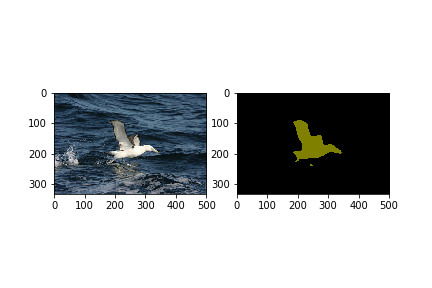 semantic segmentation example