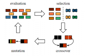 evaluation and  selection