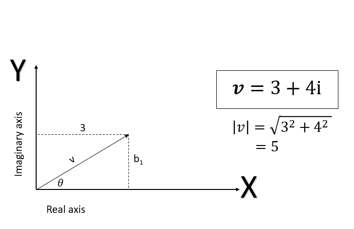 Vector Norms 