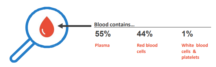 Forecasting in Pharmaceutical Industry plasma