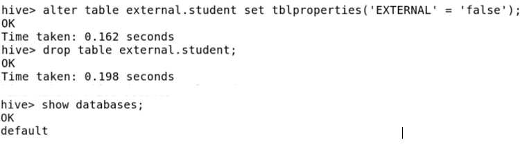 drop external table