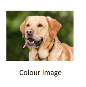 coloured image | how images are stored in a computer