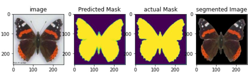 Figure 6: Segmentation in Action 