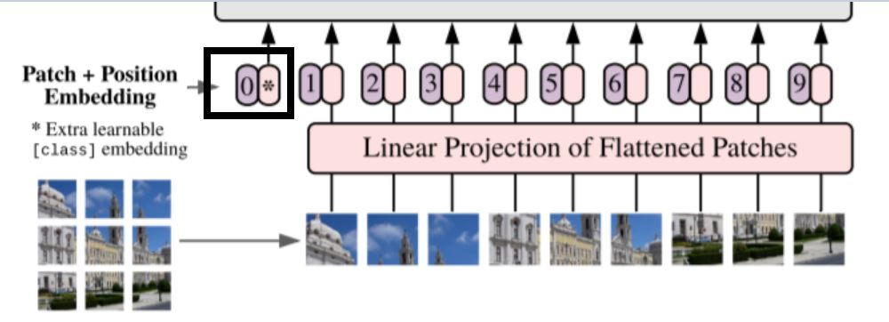 [class] token Vision Transformers