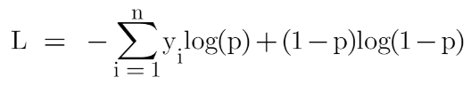 loss function