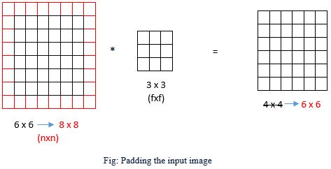 Convolutional Neural Network | Input Image 